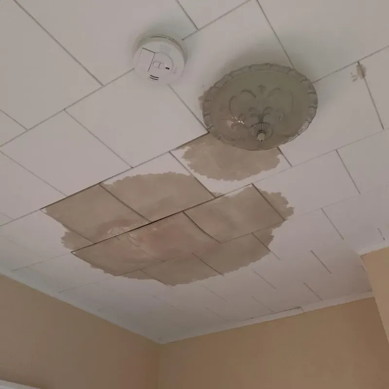 Ceiling Water Damage Repair in Crowley, TX