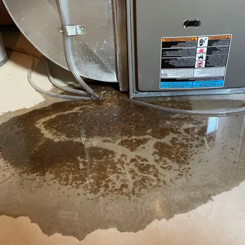 Pipe Burst and Leak Restoration in Crowley, TX